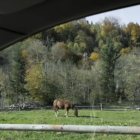 Grehit House Kosmach