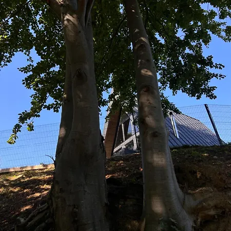 Chalet Grehit House *